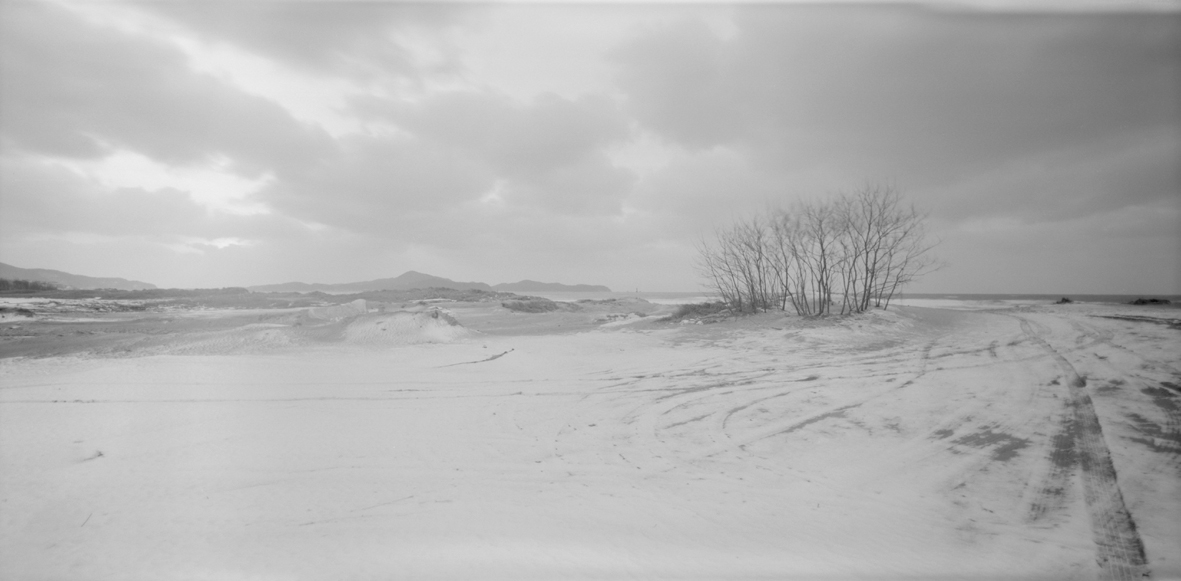 서해안-태안군 신두리 01,S. Korea,2007