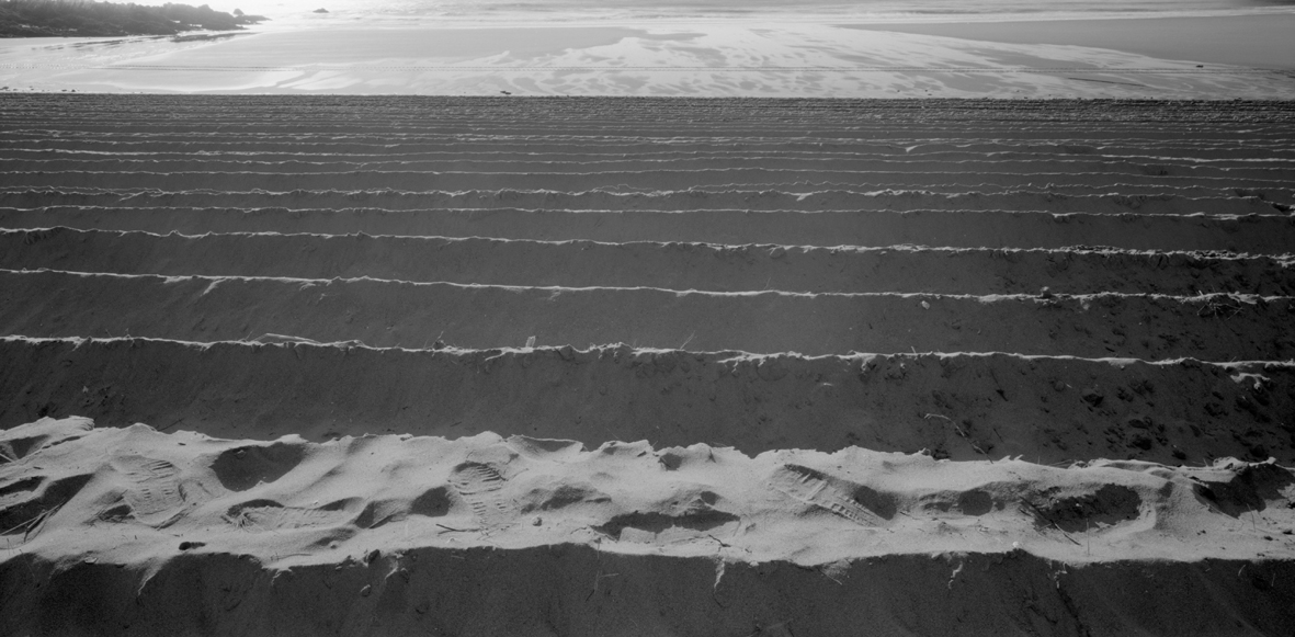 서해안-태안군 이원면 꾸지나무골,S. Korea,2008