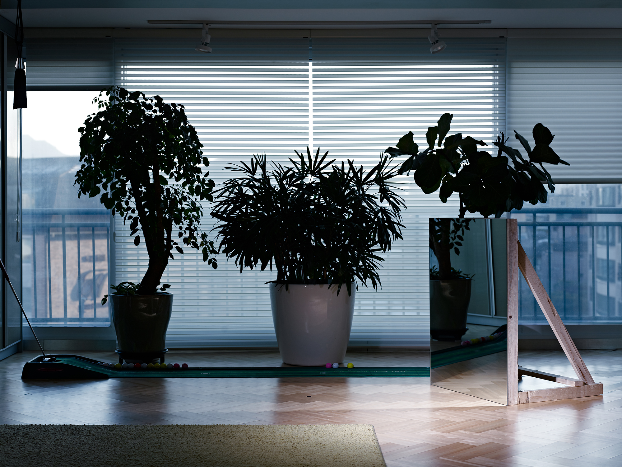 07. Covering #3, Lambda Print, 152.4x114.3cm, 2010