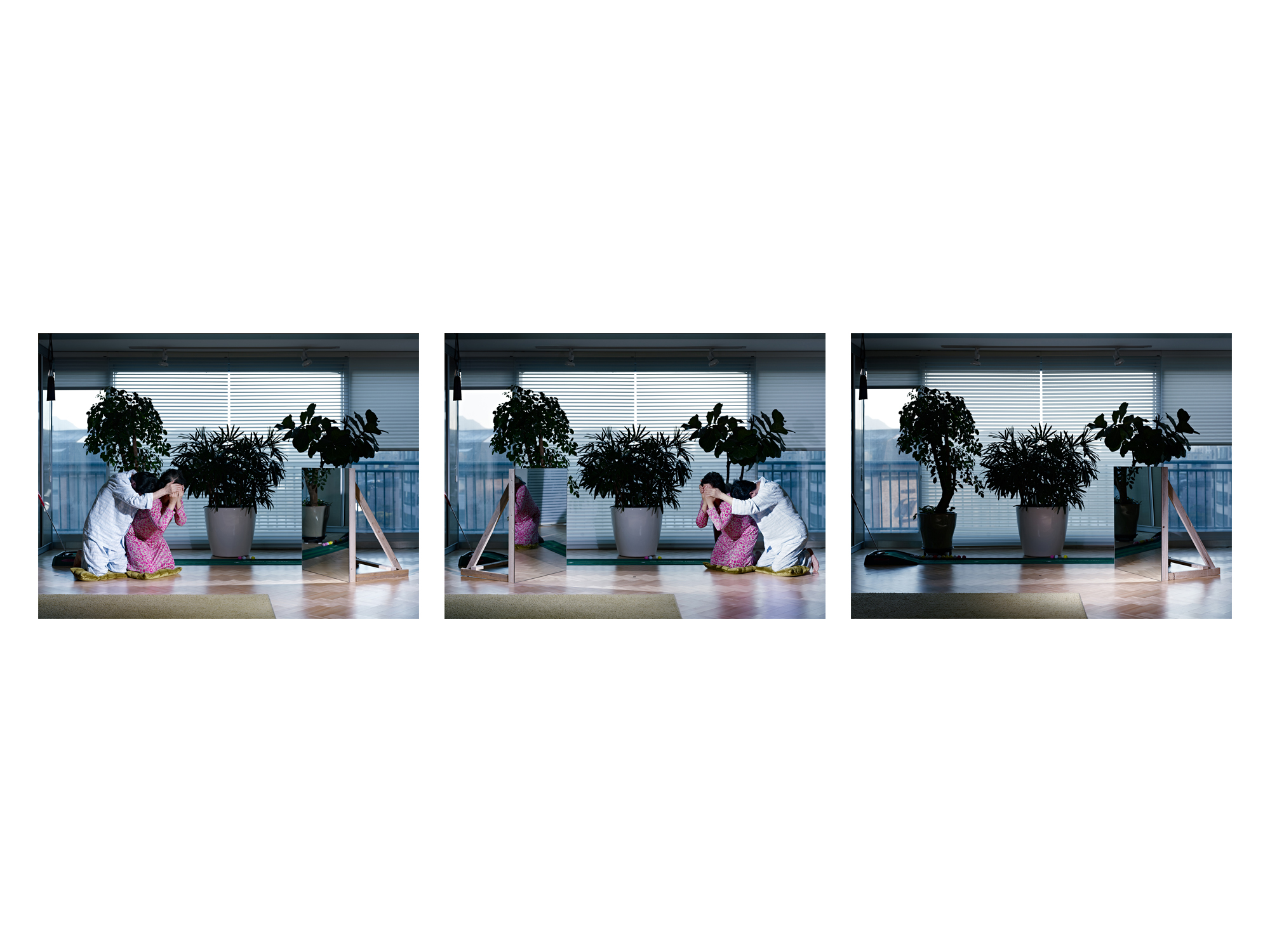 08. Covering, Lambda Print, 152.4x114.3cm, 2010