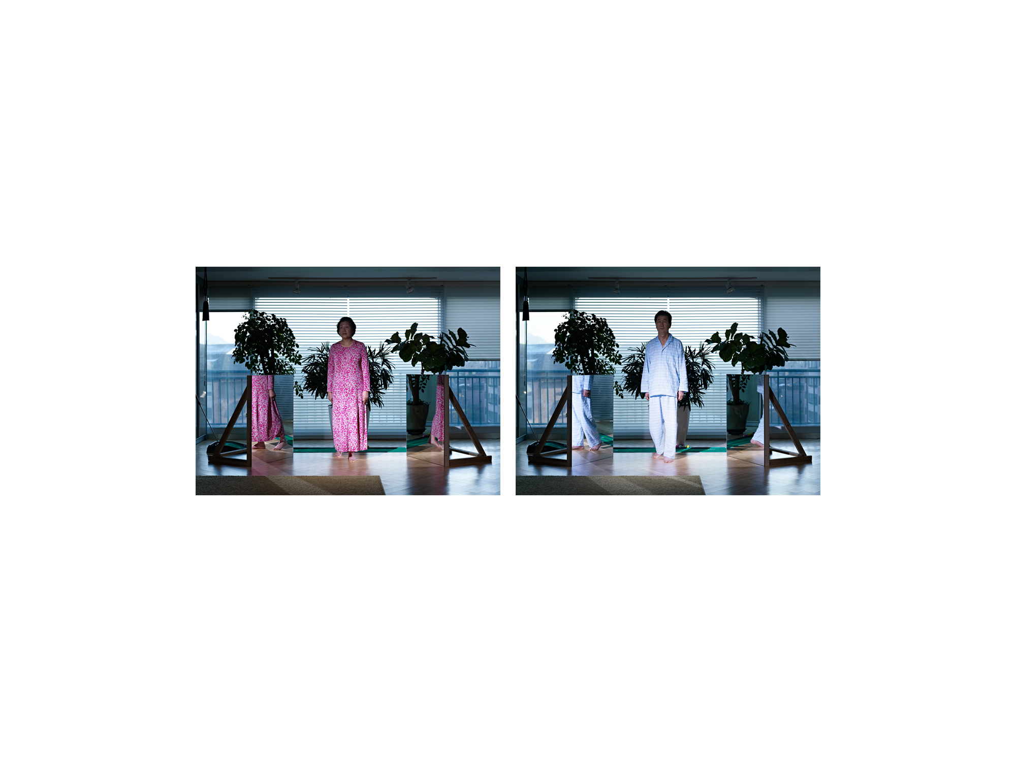 15. One Step Forward, Lambda Print, 152.4x114.3cm, 2010