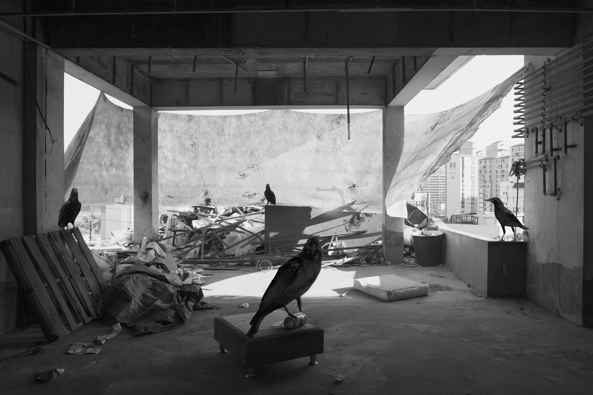 박제 아닌 박제 #01, Inkjet Print, 30x45cm, 2015