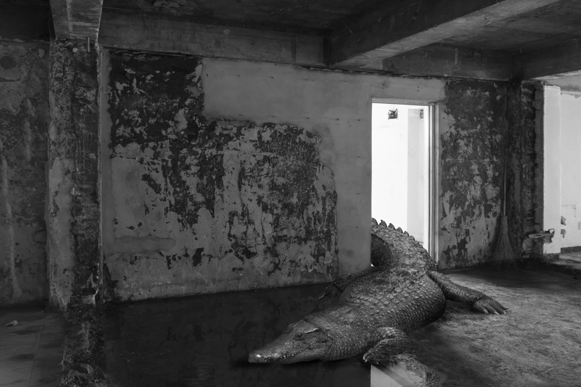 박제 아닌 박제 #02, Inkjet Print, 30x45cm, 2015