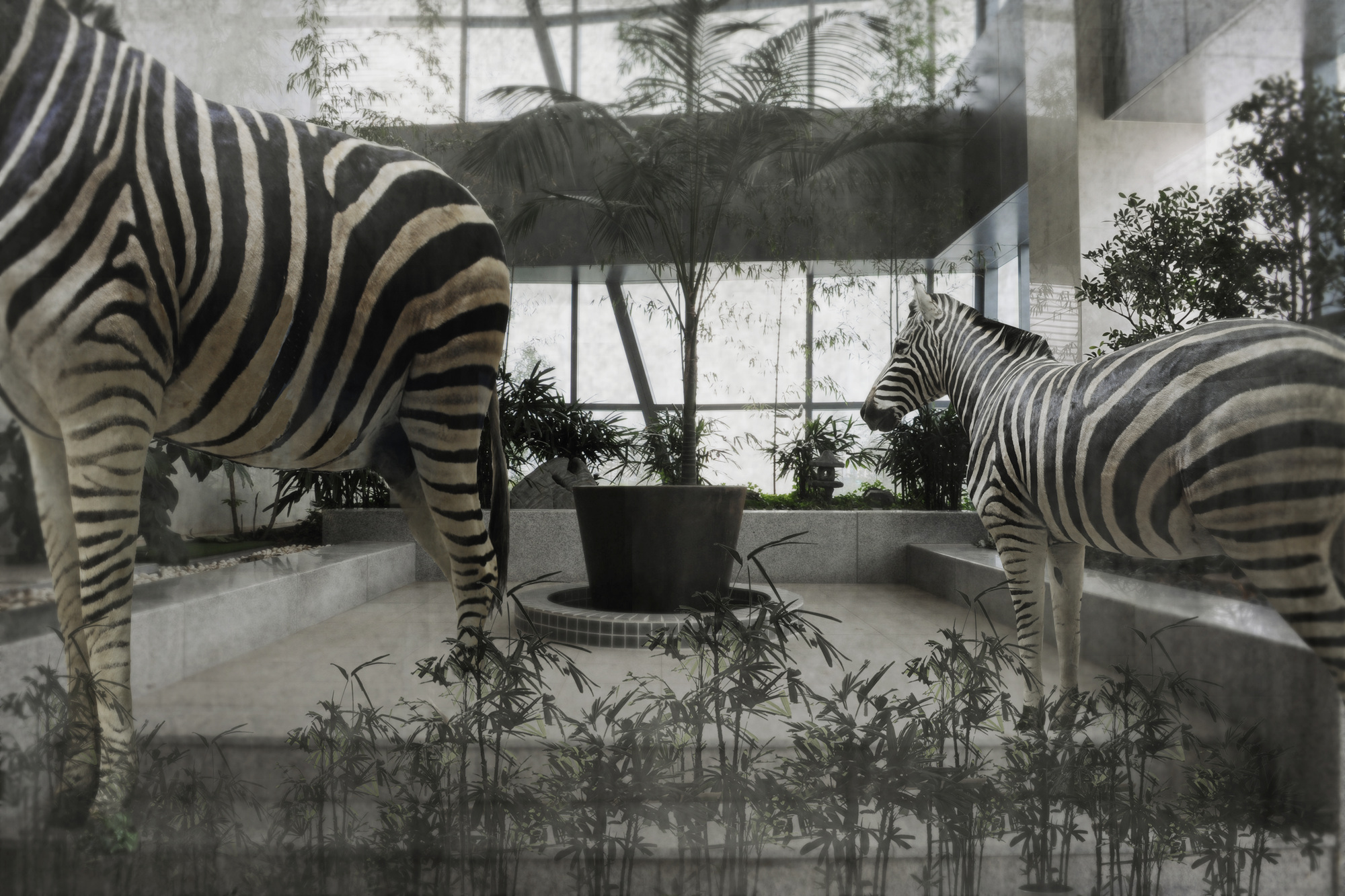 박제 아닌 박제 #04, Inkjet Print, 40x60cm, 2015