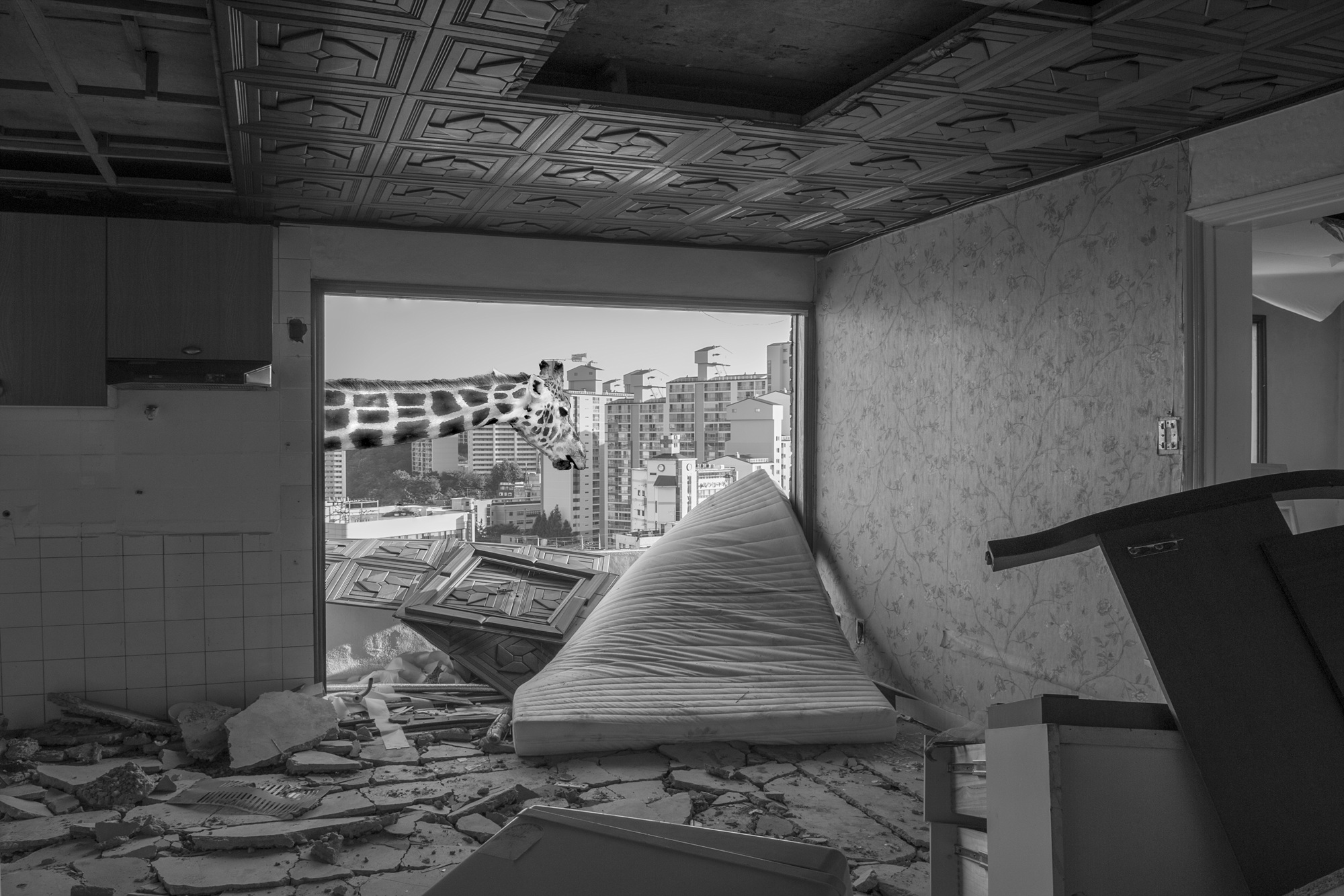 박제 아닌 박제 #07, Inkjet Print, 80x120cm, 2015