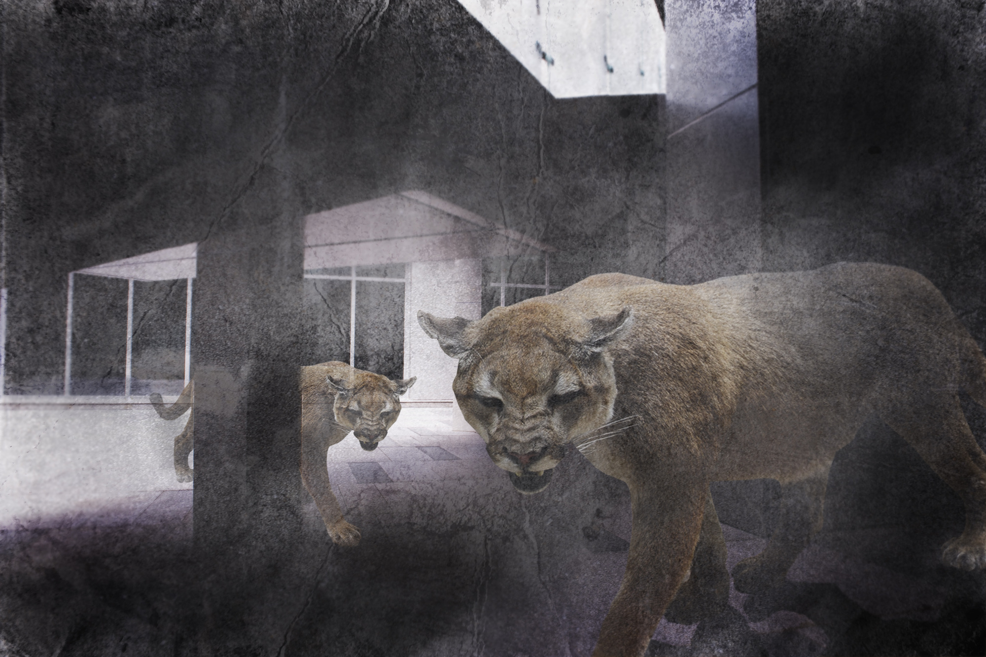 박제 아닌 박제 #09, Inkjet Print, 40x60cm, 2015