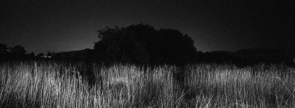 기별_136-88cm_gelatin silver print_2015 (4)