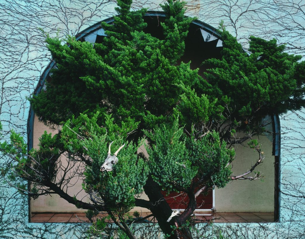 Tenseless-81, Broken II, C print,150x191cm, 2015