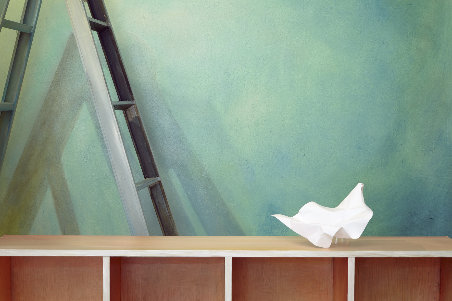 Ladder No.3 130x195cm Inkjet Print 2013