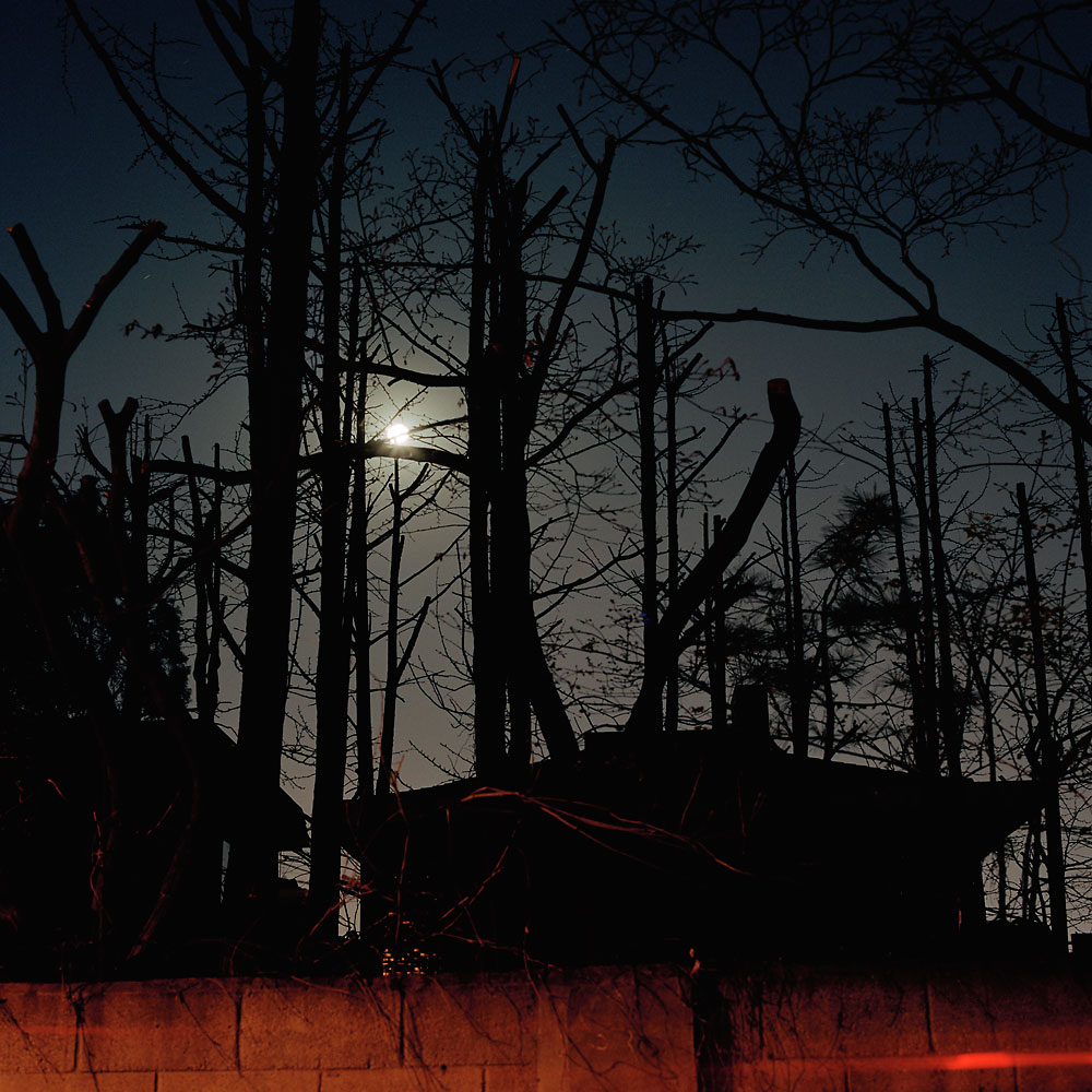 No.01(100cmX100cm.피그먼트.2006)