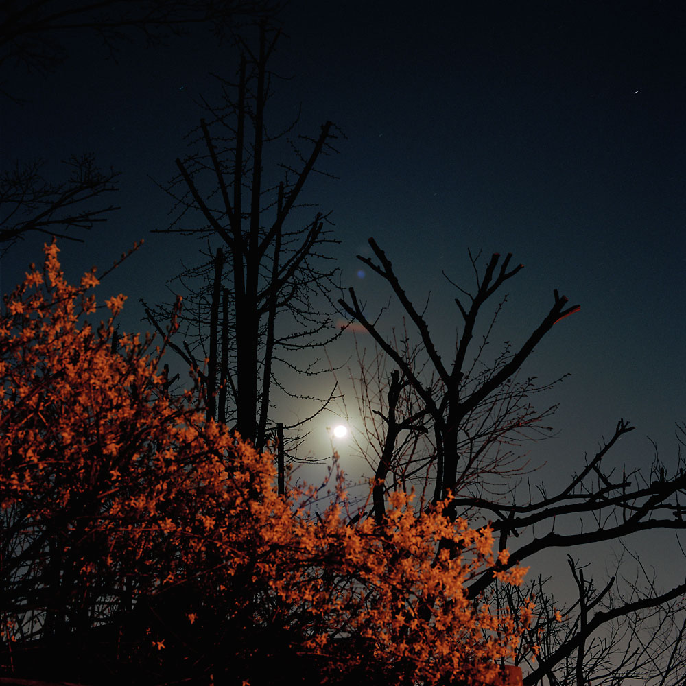 No.03(100cmX100cm.피그먼트.2006)