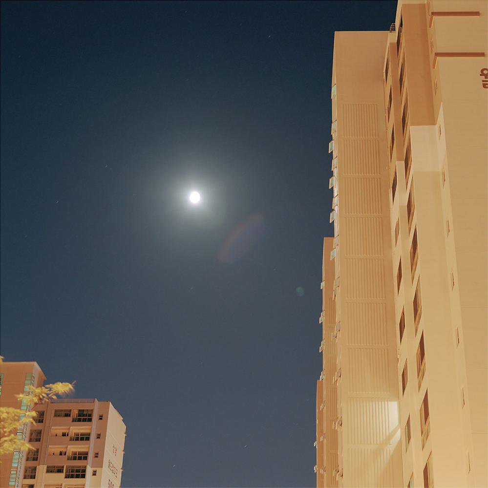 No.07(100cmX100cm.피그먼트.2006)