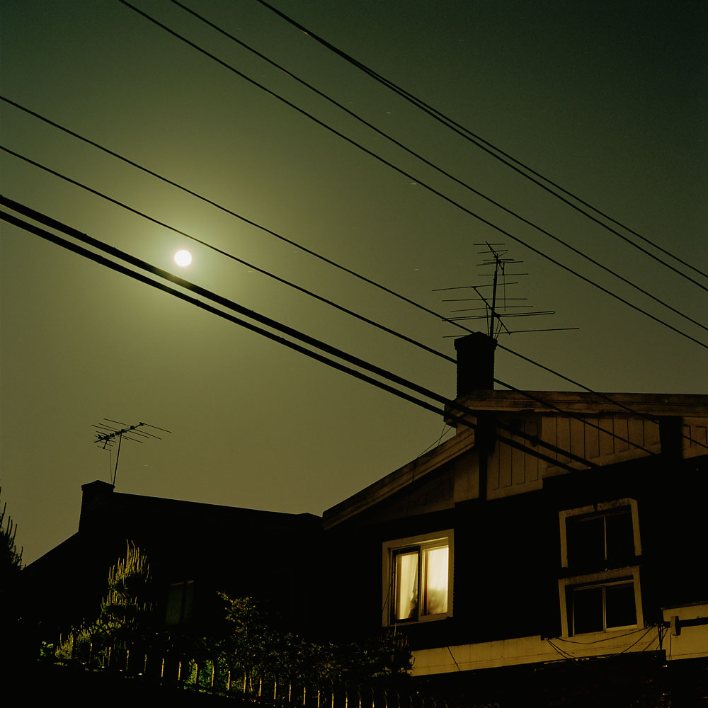 No.16(100cmX100cm.피그먼트.2004)