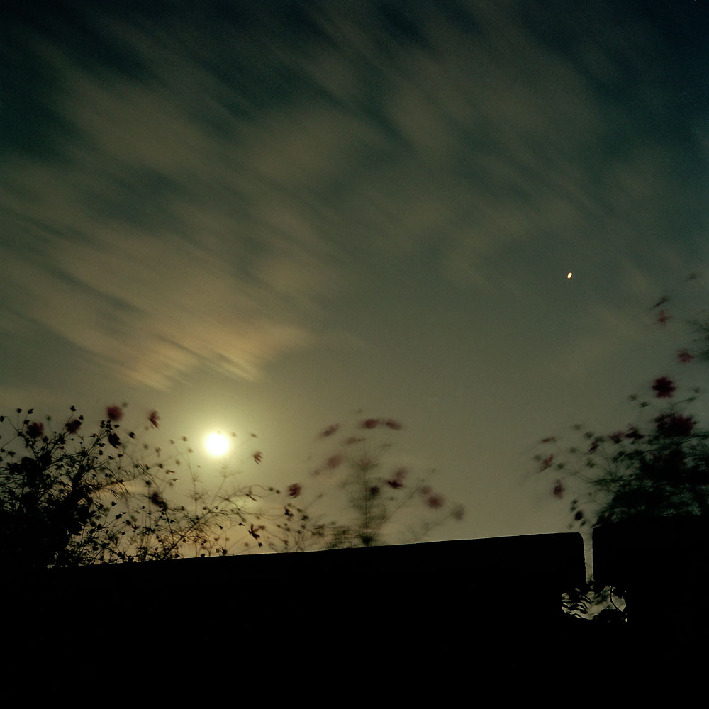 No.27(100cmX100cm.피그먼트.2006)