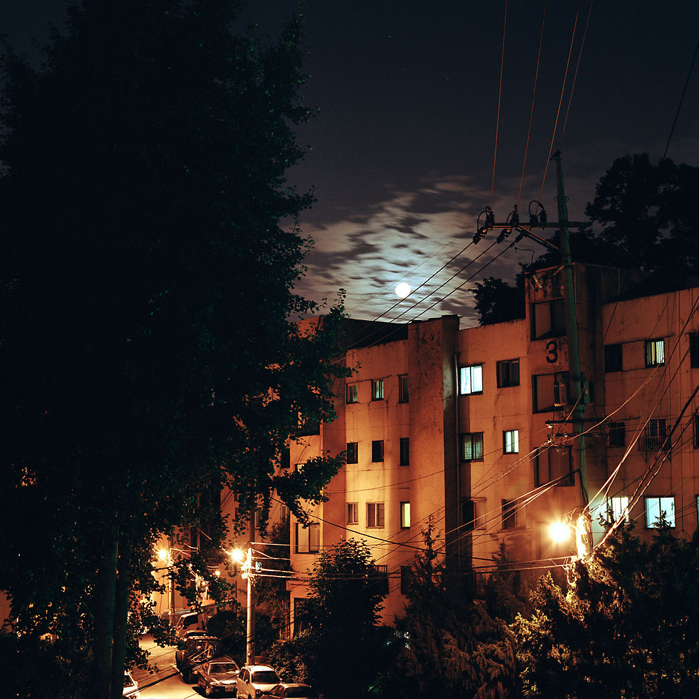 No.36(100cmX100cm.피그먼트.2005)