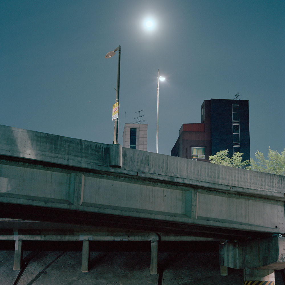 No.37(100cmX100cm.피그먼트.2012)