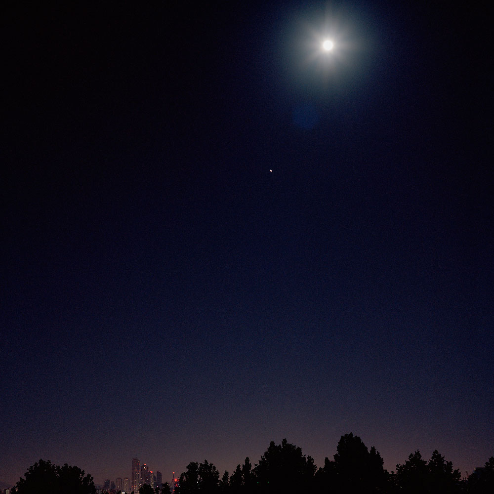 No.38(100cmX100cm.피그먼트.2010)