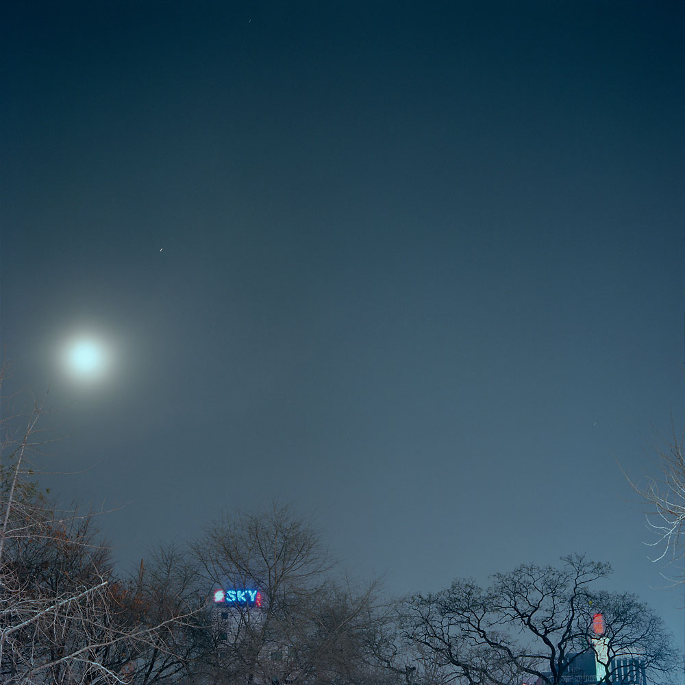 No.43(100cmX100cm.피그먼트.2008)