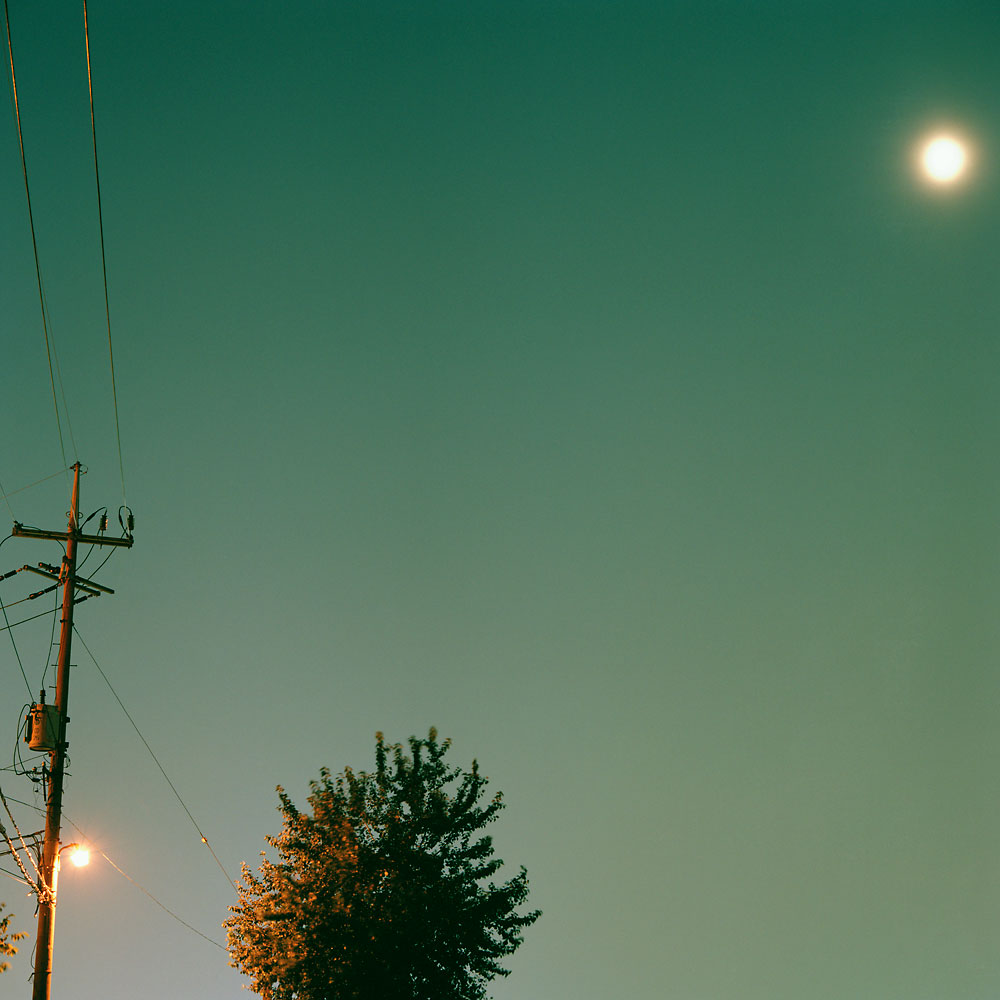 No.45(100cmX100cm.피그먼트.2008)