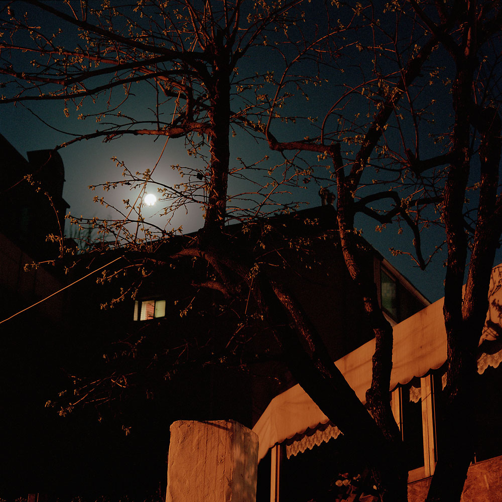 No.52(100cmX100cm.피그먼트.2010)