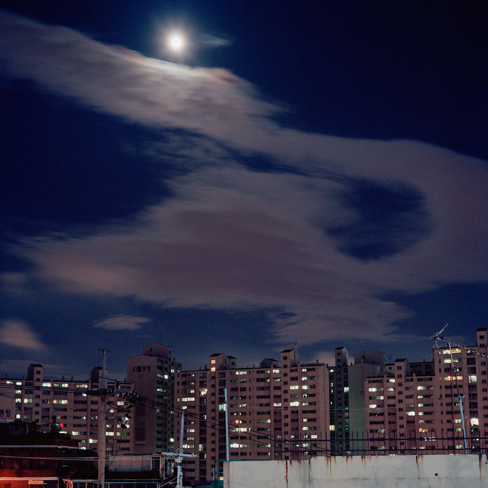 No.53(100cmX100cm.피그먼트.2010)