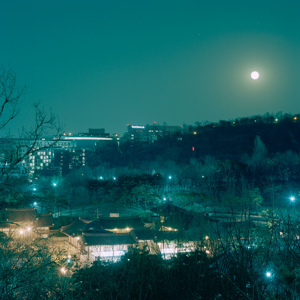 No.66(100cmX100cm.피그먼트.2012)