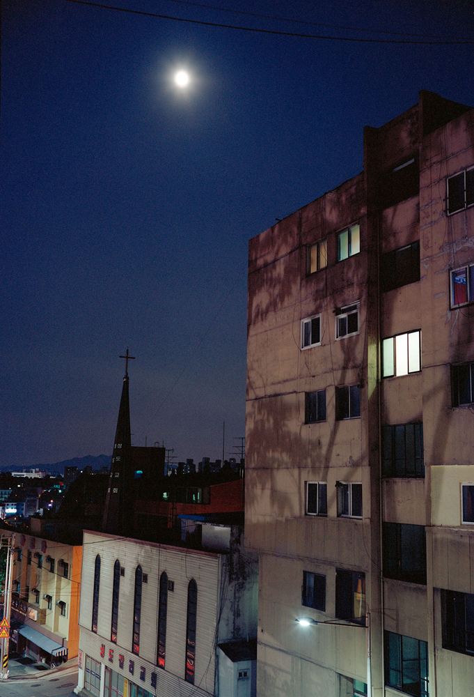 No.69(67cmX100cm.피그먼트.2011)