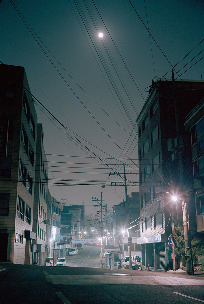 No.73(67cmX100cm.피그먼트.2013)