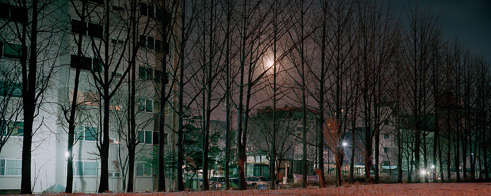 No.80(120cmX48cm.피그먼트.2013)