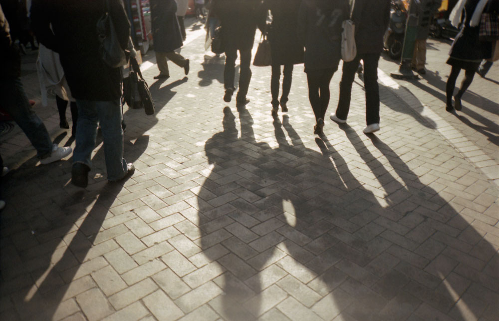 그림자-숲-만들기