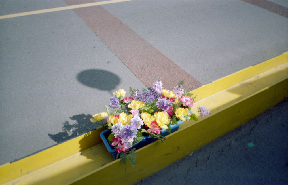 노랗게-물들다.