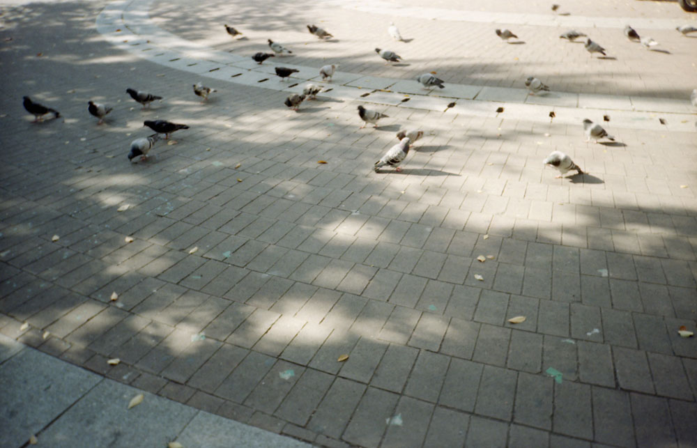 분주하게-고요하게