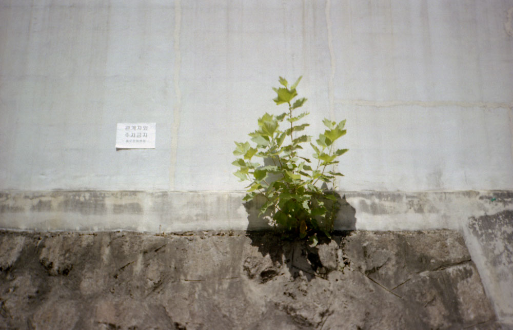 어떻게든-되겠지