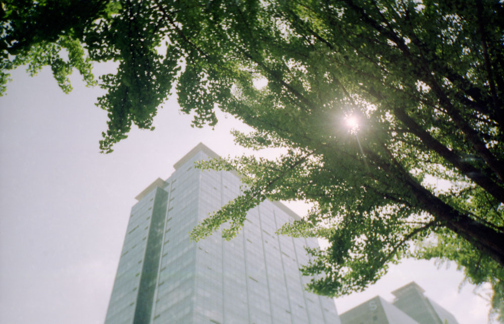 연초록으로-물든