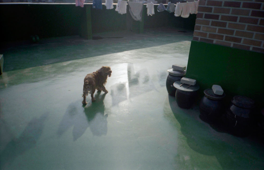 이제-어디로-갈까