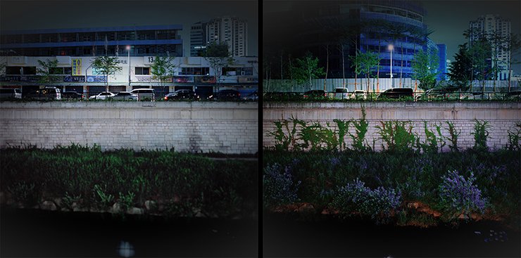 11 황학지층 13, 145×145cm 2ea, c-print, 2007 2009