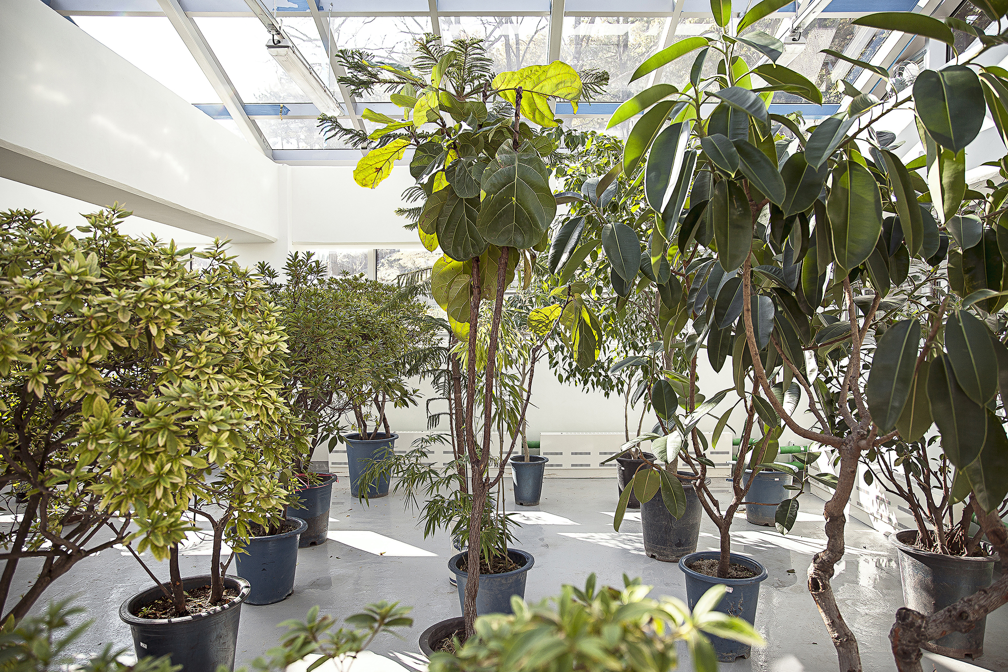 21 From the Series BATTLEFIELD_chapter 2 Field Training_Roger that, 신장개업을 위한 정원, 2012