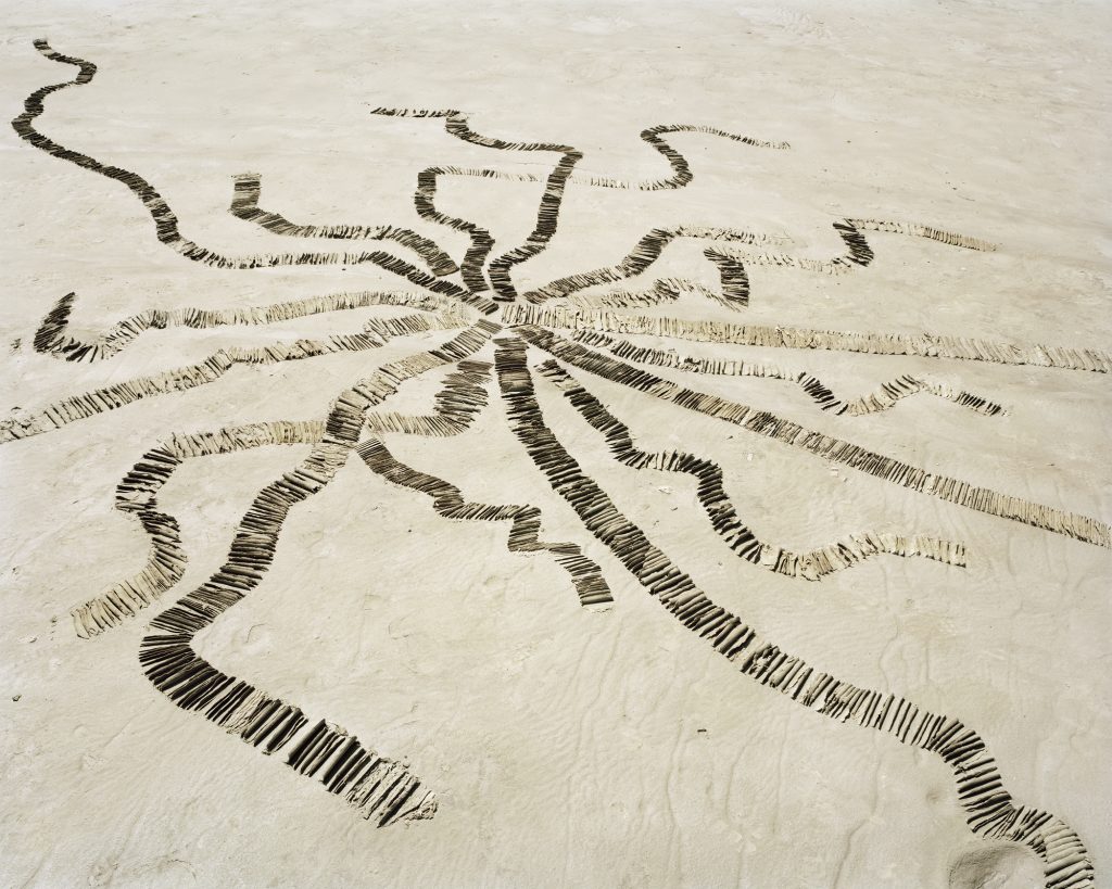 Figure-Project_Earth19-Pigment-Print-120x150cm-2013