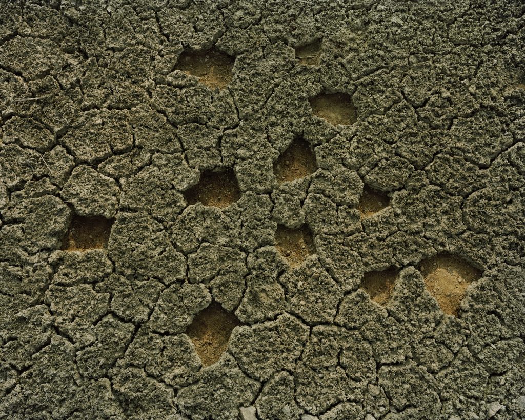 Figure-Project_Earth29-Pigment-Print-120x150cm-2014