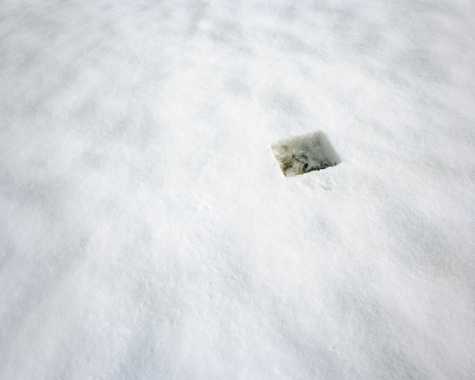The Capture Nature_Snow#2,Pigment Print,120x150cm,2012