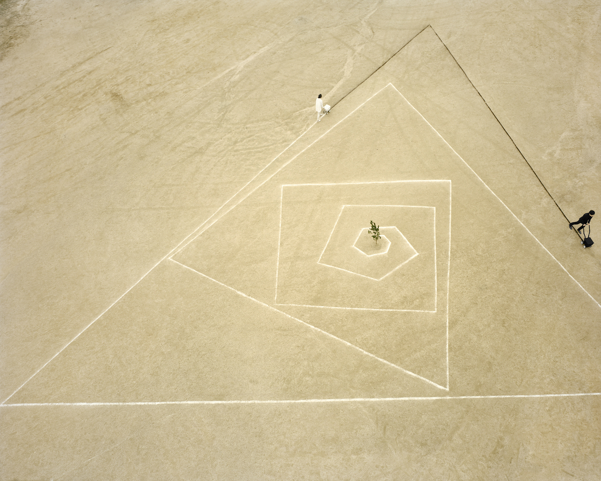 The Capture Nature_Tree#7,Pigment Print,120x150cm,2012