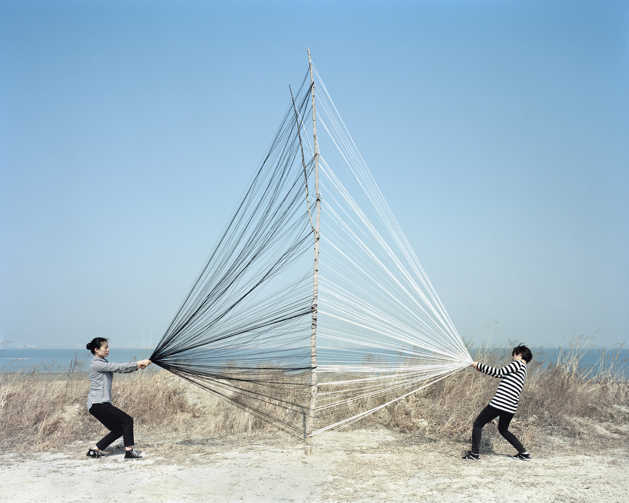 The Captured Nature_Tree#4,Pigment Print,144x180cm,2011