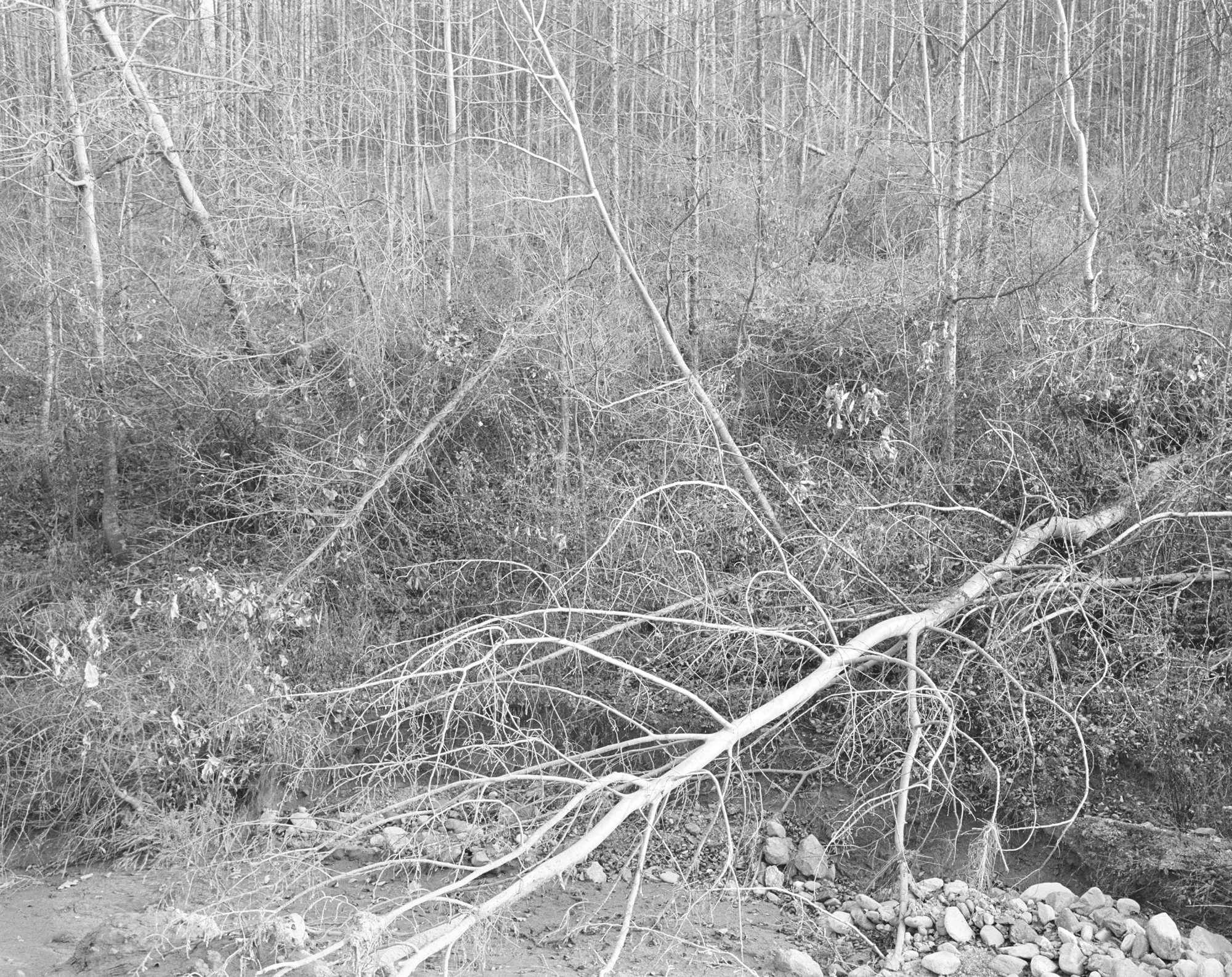 12 용담댐 시리즈-풍경, Gelatin Silver Print, 24×20inch, 1999-2000