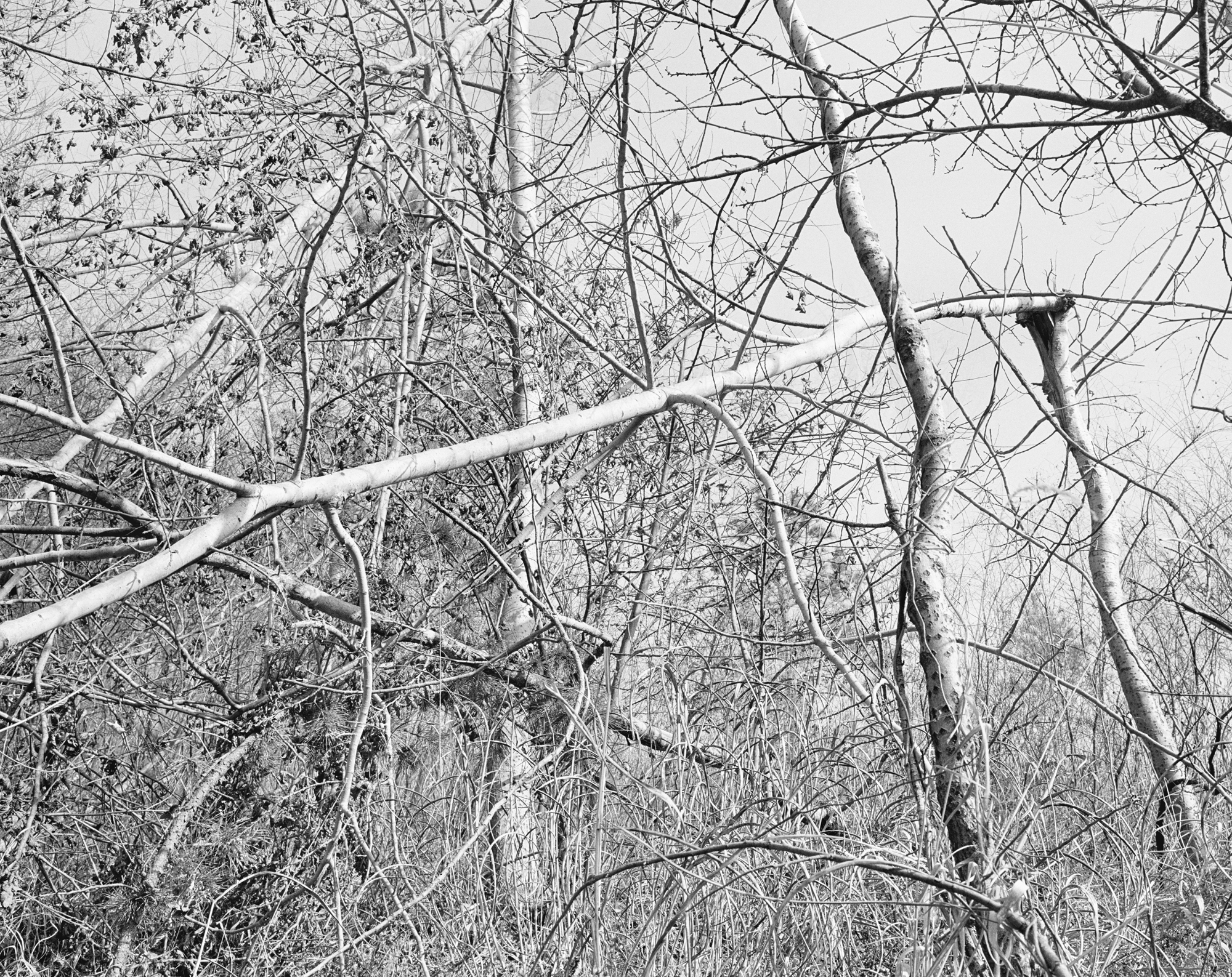 13 용담댐 시리즈-풍경, Gelatin Silver Print, 24×20inch, 1999-2000