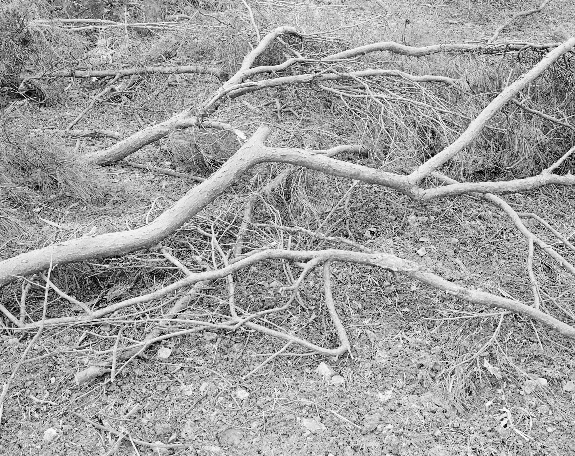 14 용담댐 시리즈-풍경, Gelatin Silver Print, 24×20inch, 1999-2000