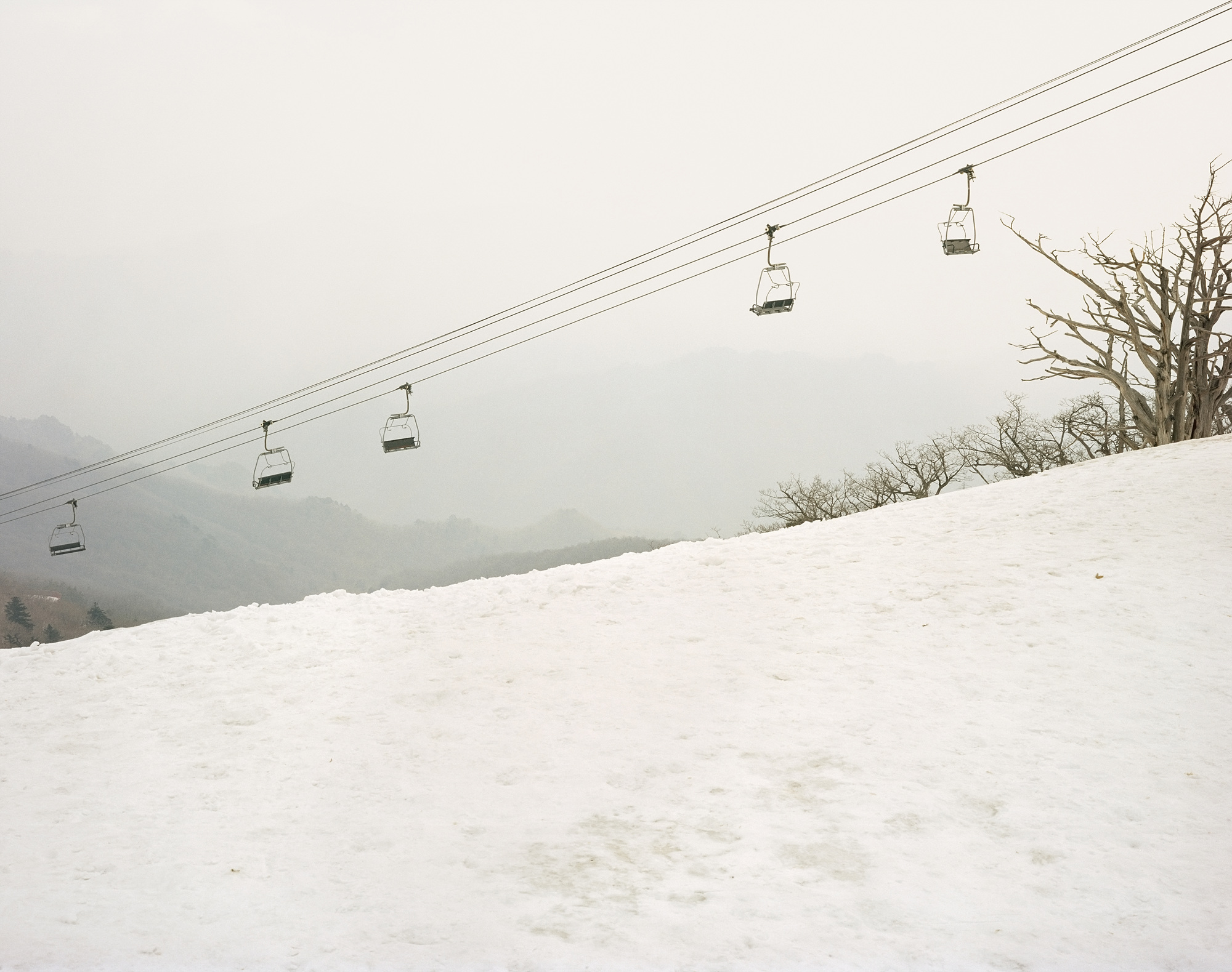 15 Commercial Landscapes, Digital C Print, 74×94cm, 2002-2006