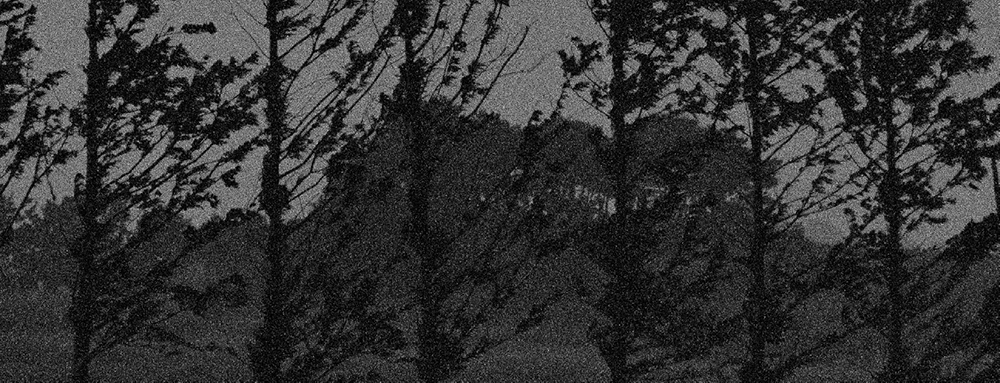 30 피안(彼岸), Gelatin Silver Print, 40x100inch, 2006