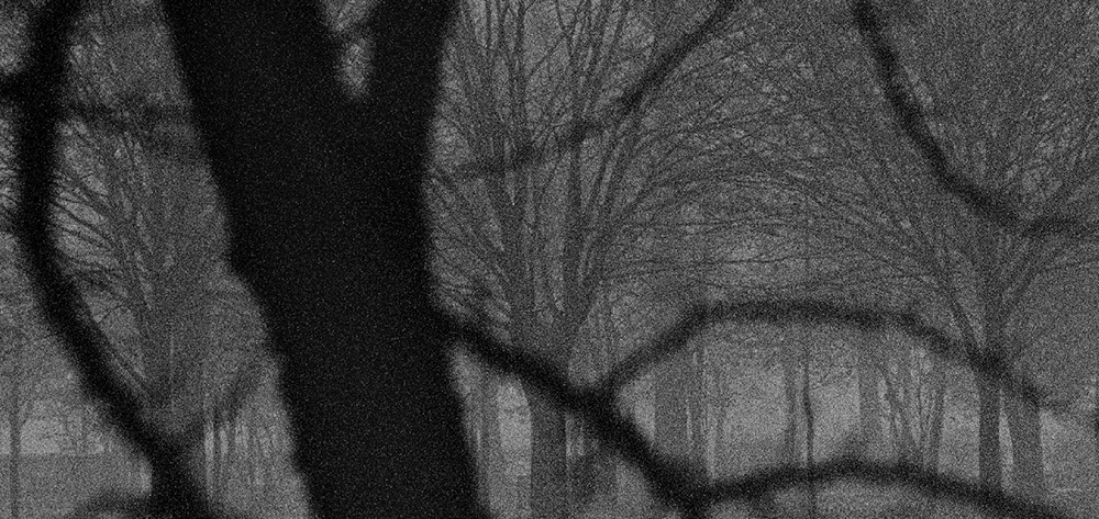 40 피안(彼岸), Gelatin Silver Print, 40x100inch, 2006