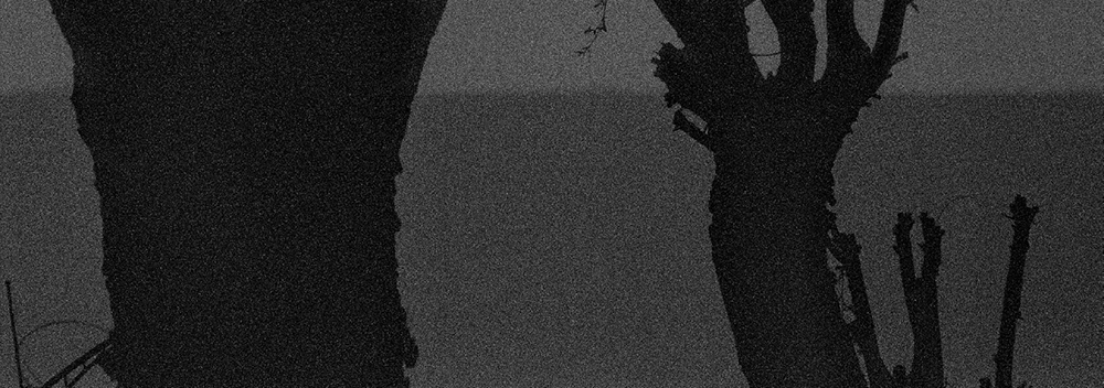 41 피안(彼岸), Gelatin Silver Print, 40x100inch, 2006