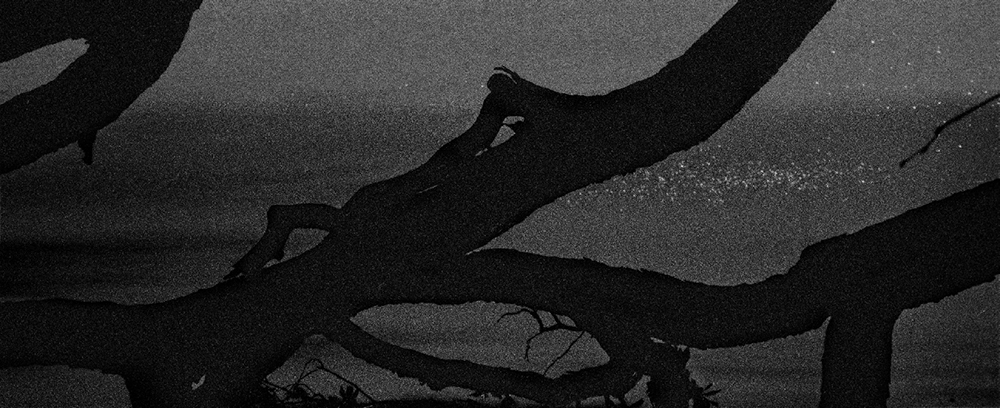 42 피안(彼岸), Gelatin Silver Print, 40x100inch, 2006